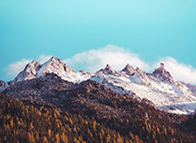 开元官方网站-太阳轻取猛龙 布克25+6杰伦·格林20+7